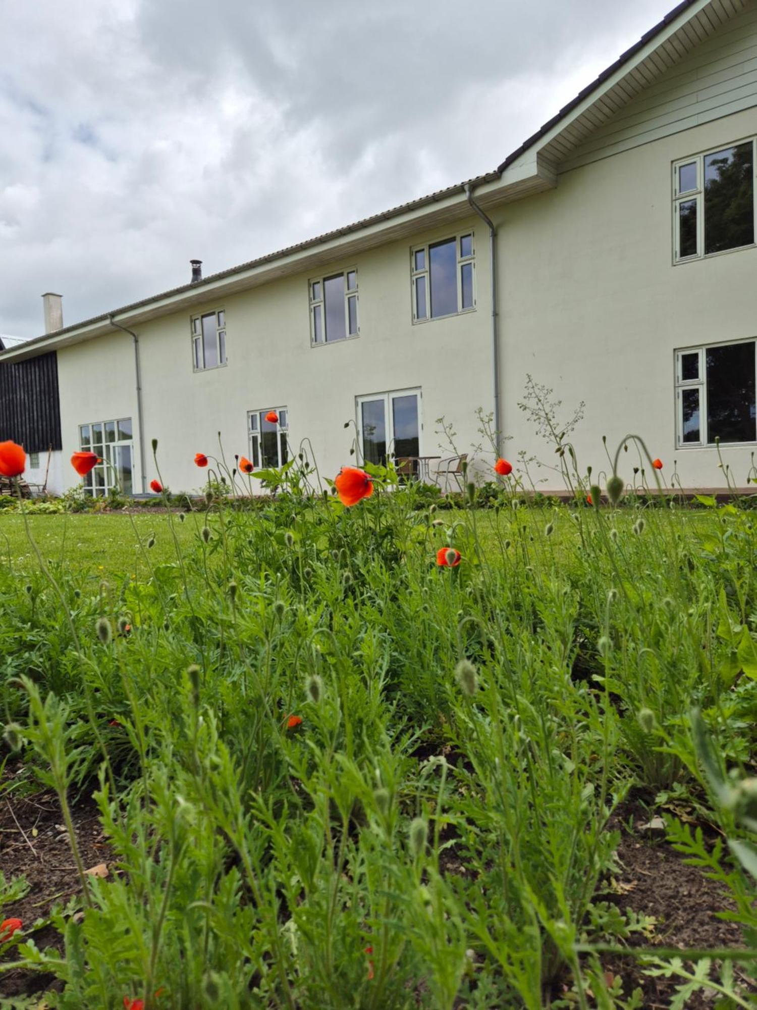 Mols Bed & Breakfast Knebel Екстер'єр фото