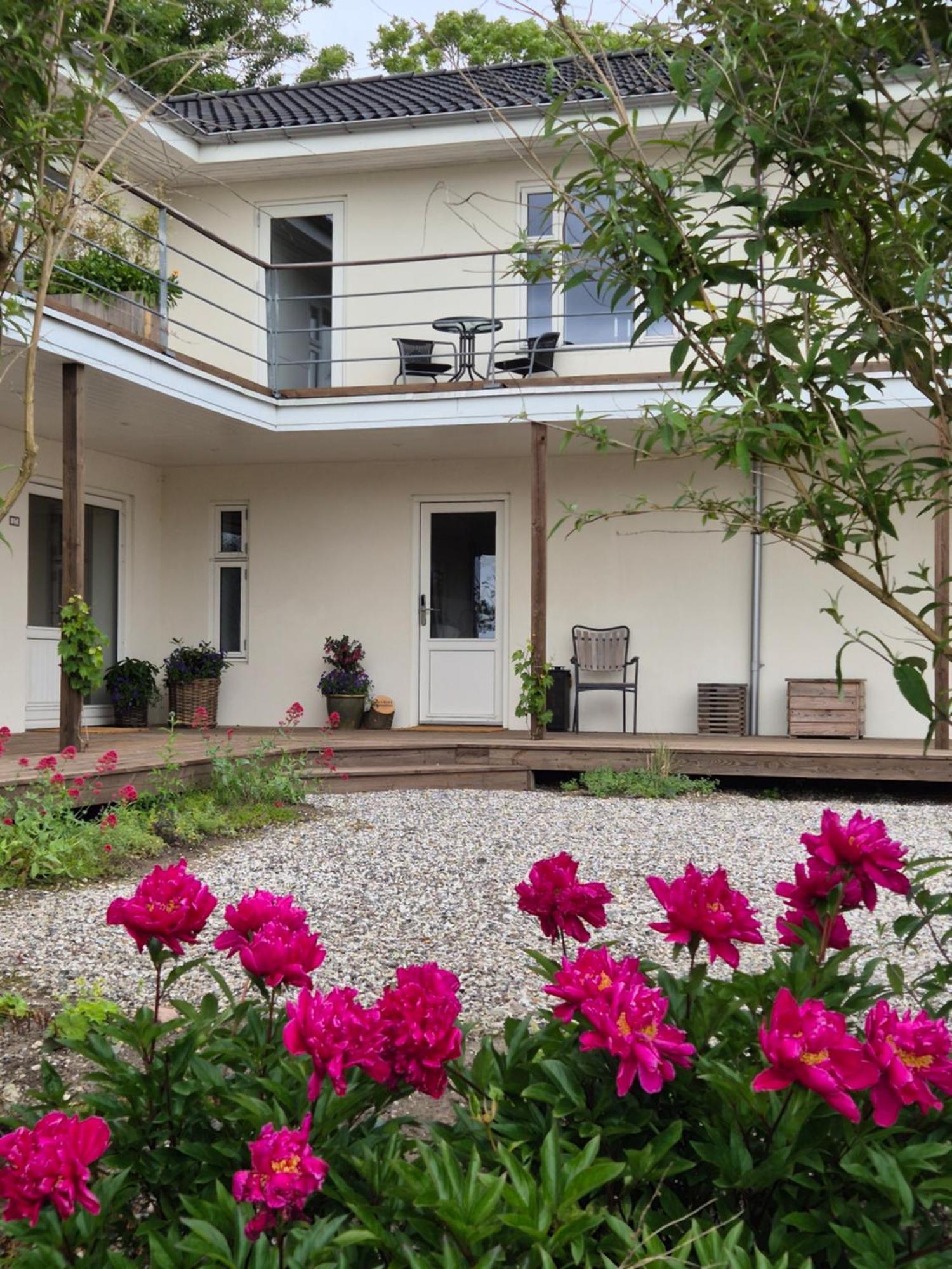 Mols Bed & Breakfast Knebel Екстер'єр фото