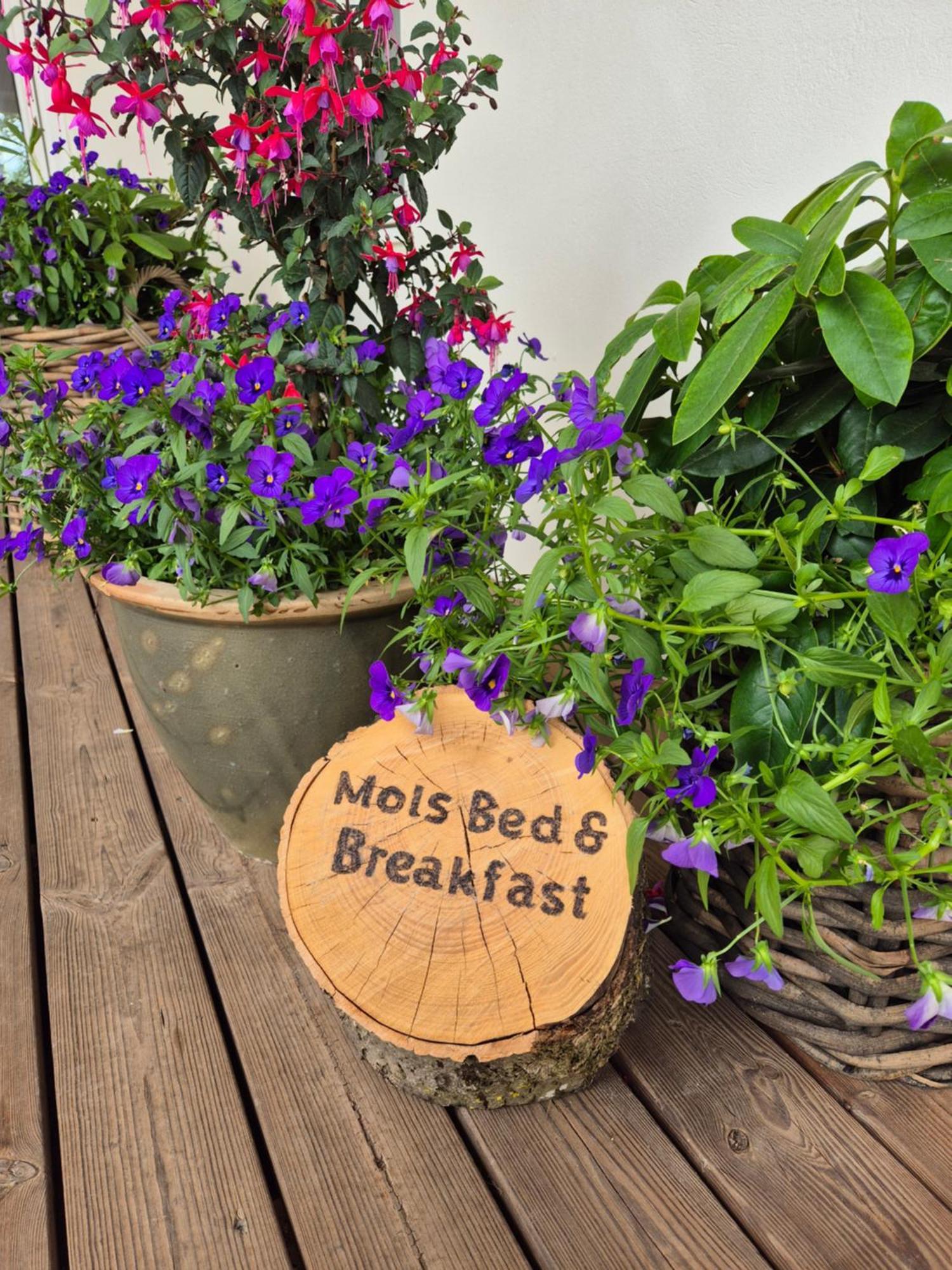 Mols Bed & Breakfast Knebel Екстер'єр фото
